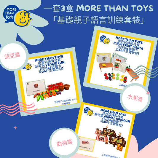 <🔥 專業好評 年度熱賣🔥>一套3盒 MORE THAN TOYS 「基礎親子語言訓練套裝」--送品牌訓練用隔版