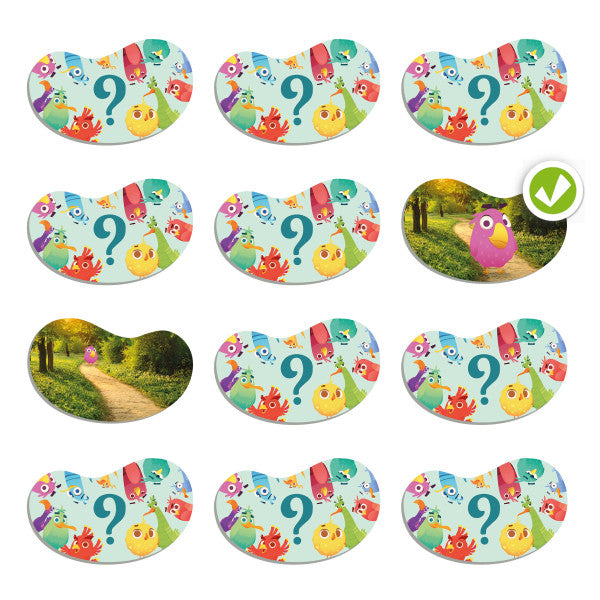 💥西班牙直送- Akros Topology Bird Spatial Orientation 方位描述配對卡💥