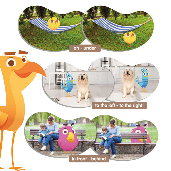 💥西班牙直送- Akros Topology Bird Spatial Orientation 方位描述配對卡💥